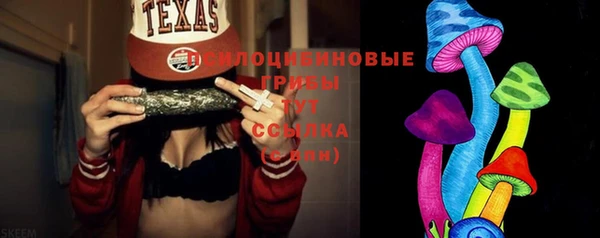 соль ск Белокуриха