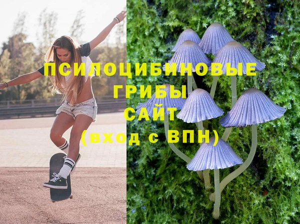 соль ск Белокуриха